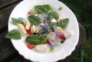 Салат из сыра бри с цветами цикория